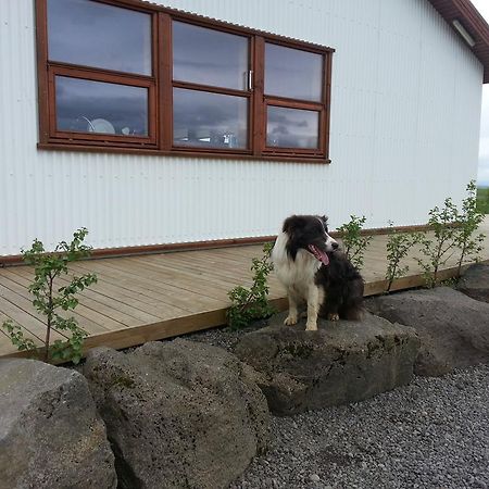 Skalinn Between Gullfoss And Geysir - Myrkholt Farm Haukadalur 外观 照片