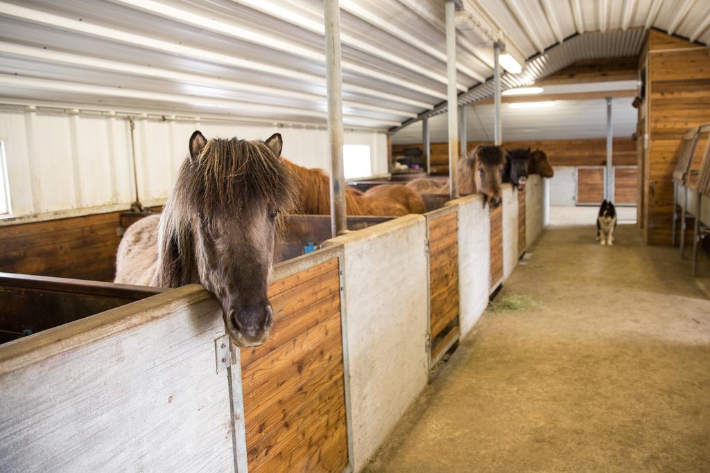 Skalinn Between Gullfoss And Geysir - Myrkholt Farm Haukadalur 外观 照片
