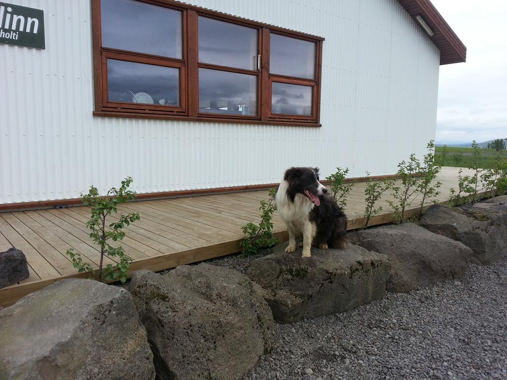 Skalinn Between Gullfoss And Geysir - Myrkholt Farm Haukadalur 外观 照片