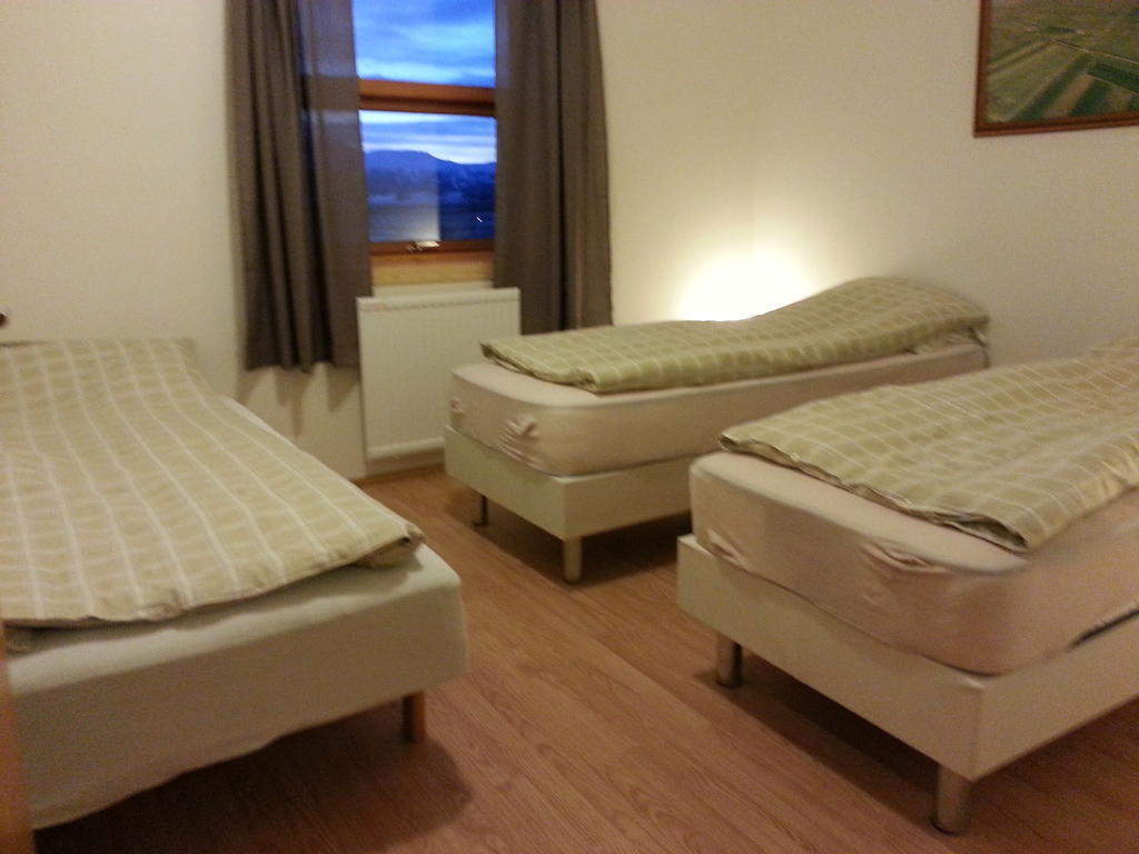 Skalinn Between Gullfoss And Geysir - Myrkholt Farm Haukadalur 客房 照片