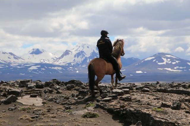 Skalinn Between Gullfoss And Geysir - Myrkholt Farm Haukadalur 外观 照片