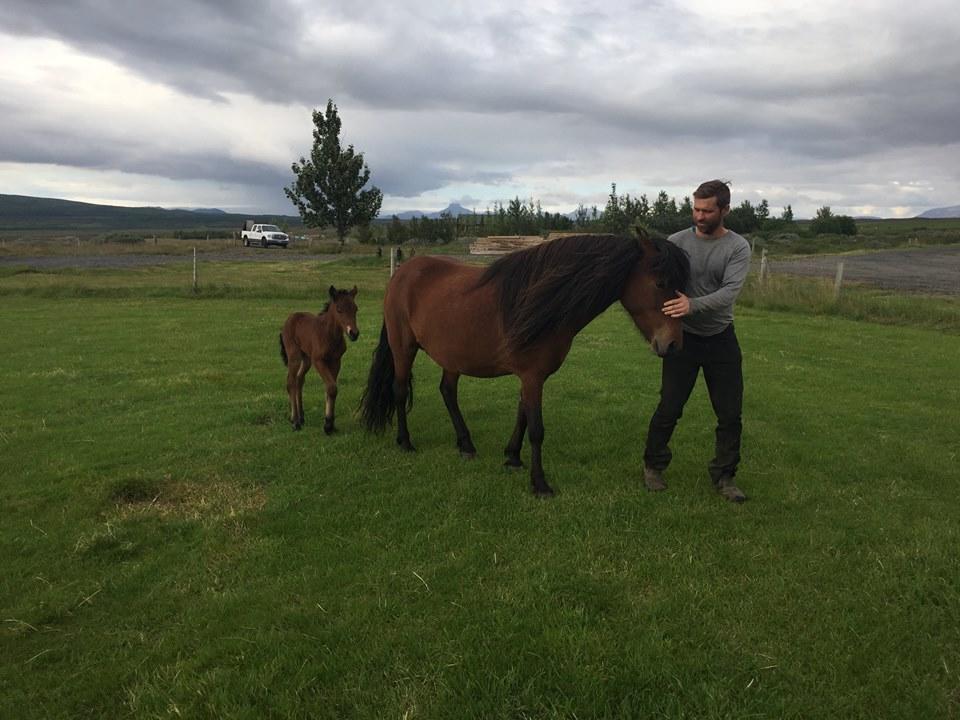 Skalinn Between Gullfoss And Geysir - Myrkholt Farm Haukadalur 外观 照片
