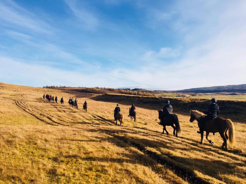Skalinn Between Gullfoss And Geysir - Myrkholt Farm Haukadalur 外观 照片